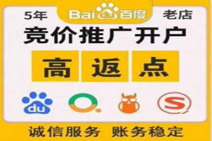 百度SEM竞价推广，案例解析转化率提升秘诀